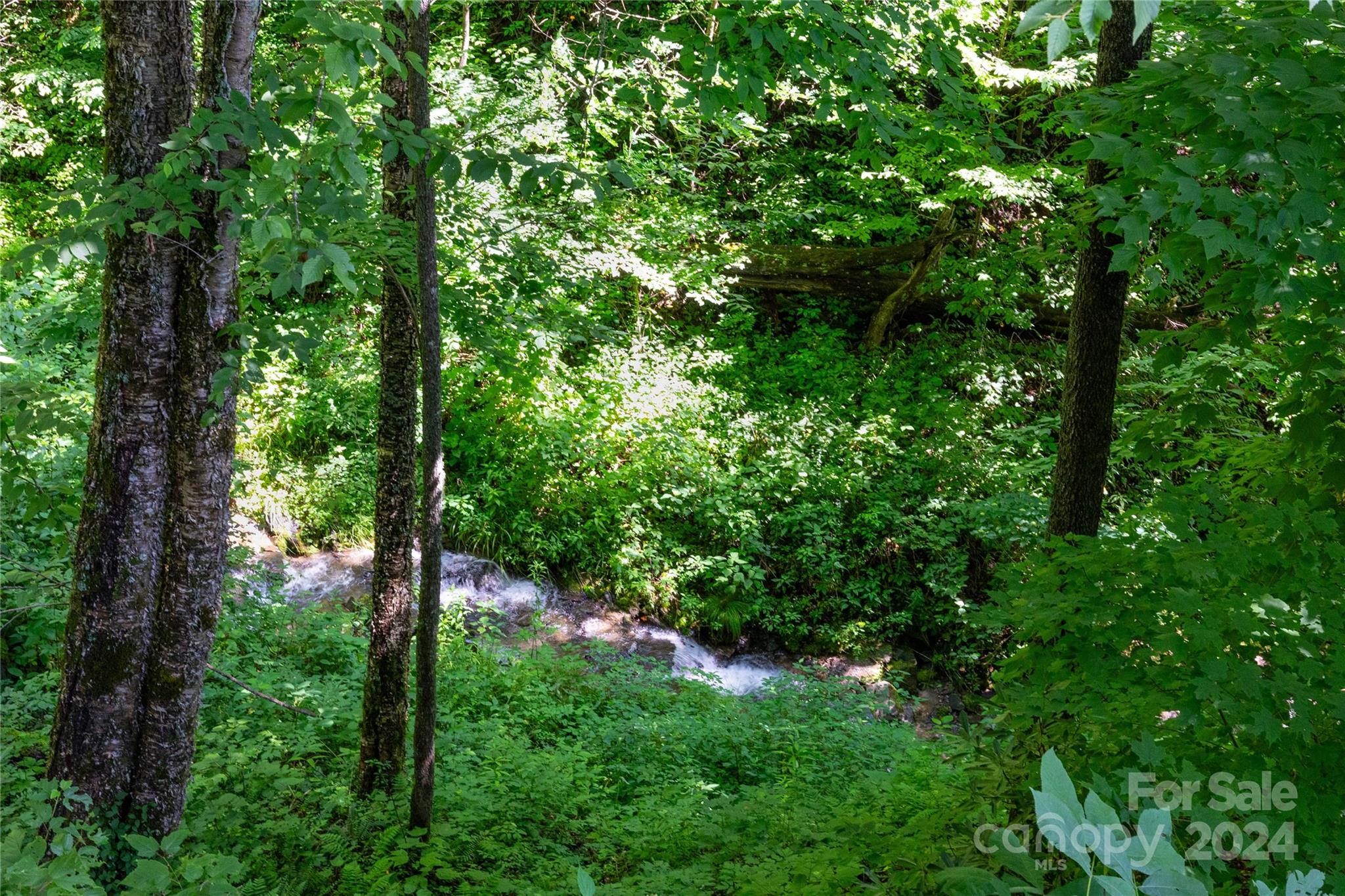 206 Buckeye Haven Road Maggie Valley, NC 28751 - Photo 4 of 32 Gallery Image 4