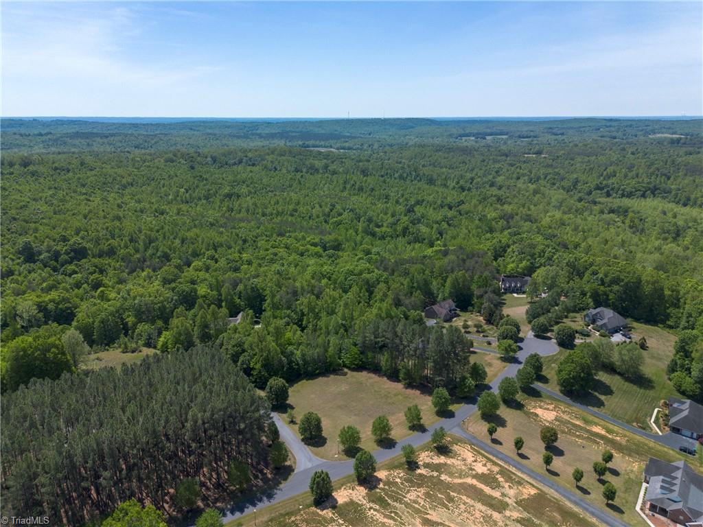 0 Mossdale Road Stoneville, NC 27048 - Photo 9 of 34