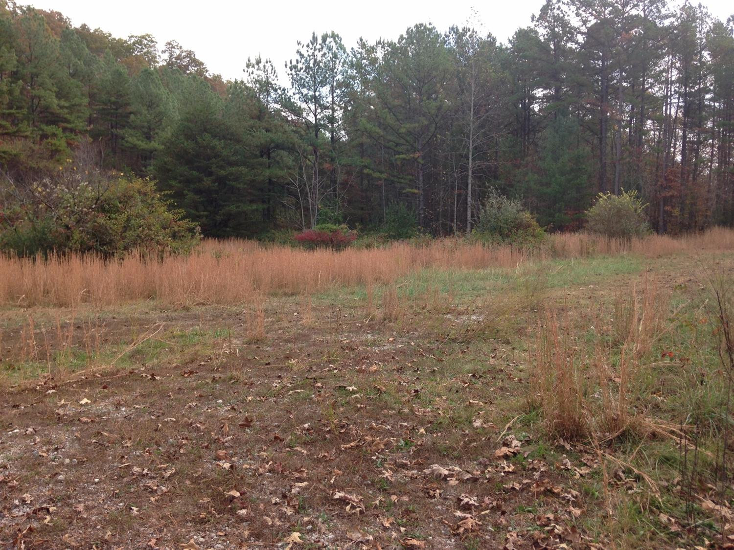 68 Big Hill Road Manchester, KY 40962 - Photo 9 of 16 Photo 9