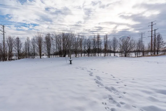 a view of a house with a yard and garage