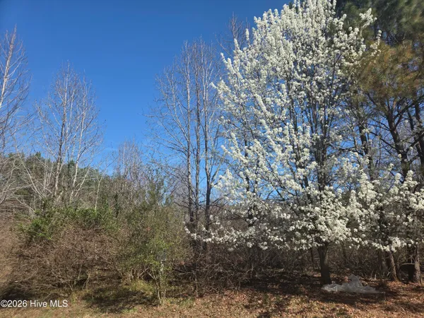 $19,100 | 232 Winfall Circle, Edenton, NC 27932