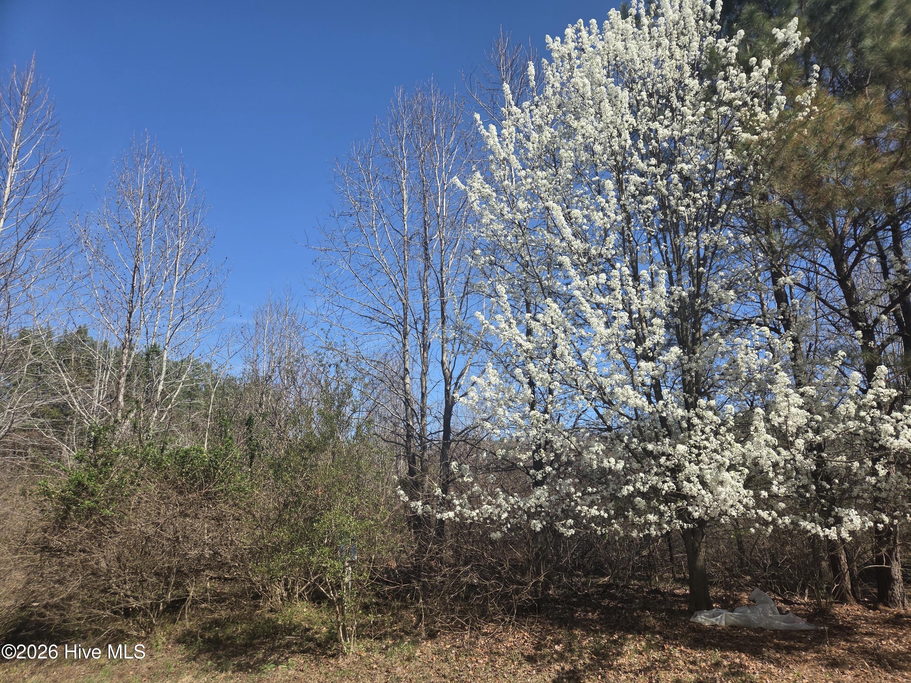 232 Winfall Circle Edenton, NC 27932 - Photo 2 of 7 Main View Lot 121