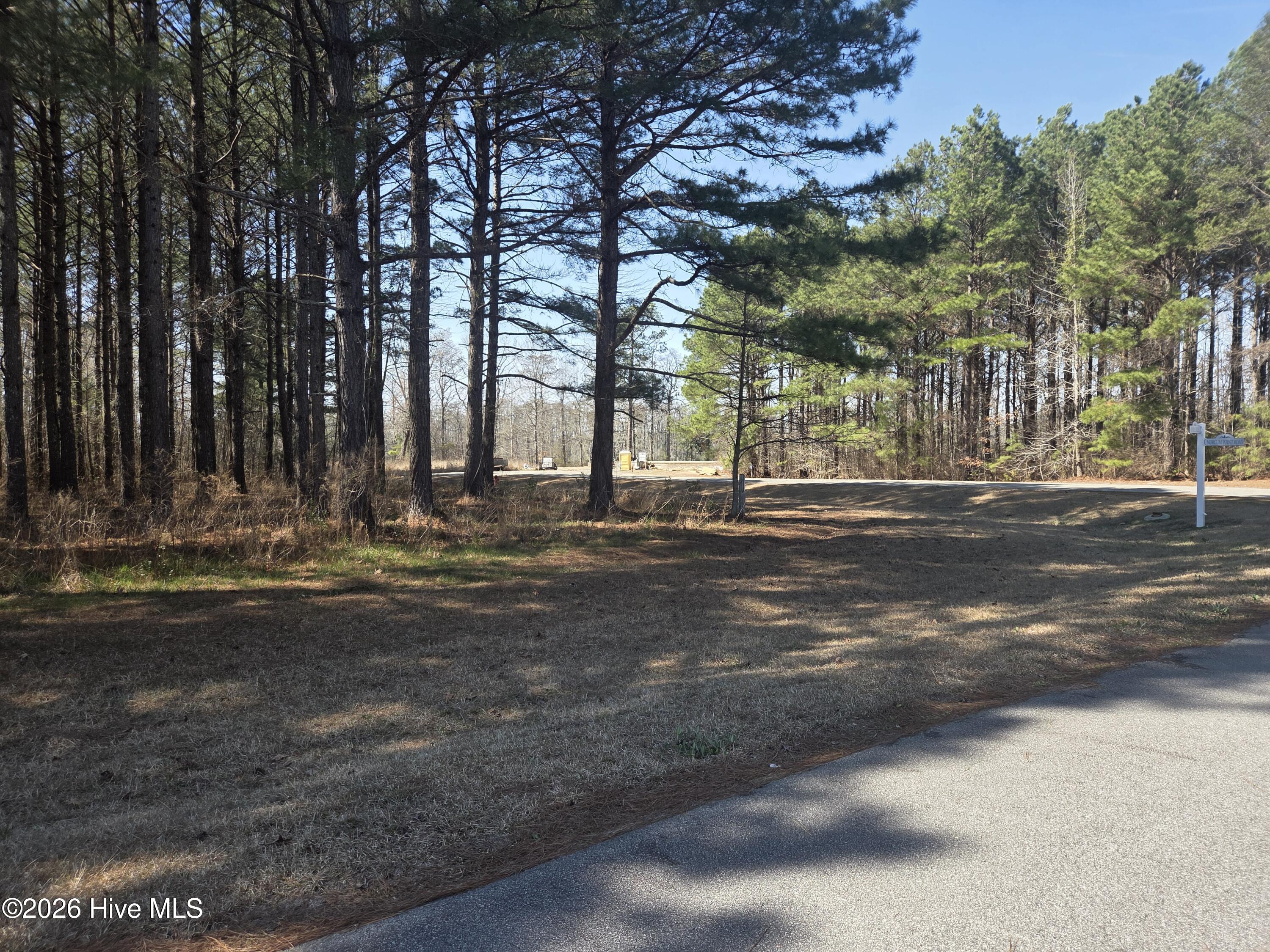 232 Winfall Circle Edenton, NC 27932 - Photo 4 of 7 View from front of lot
