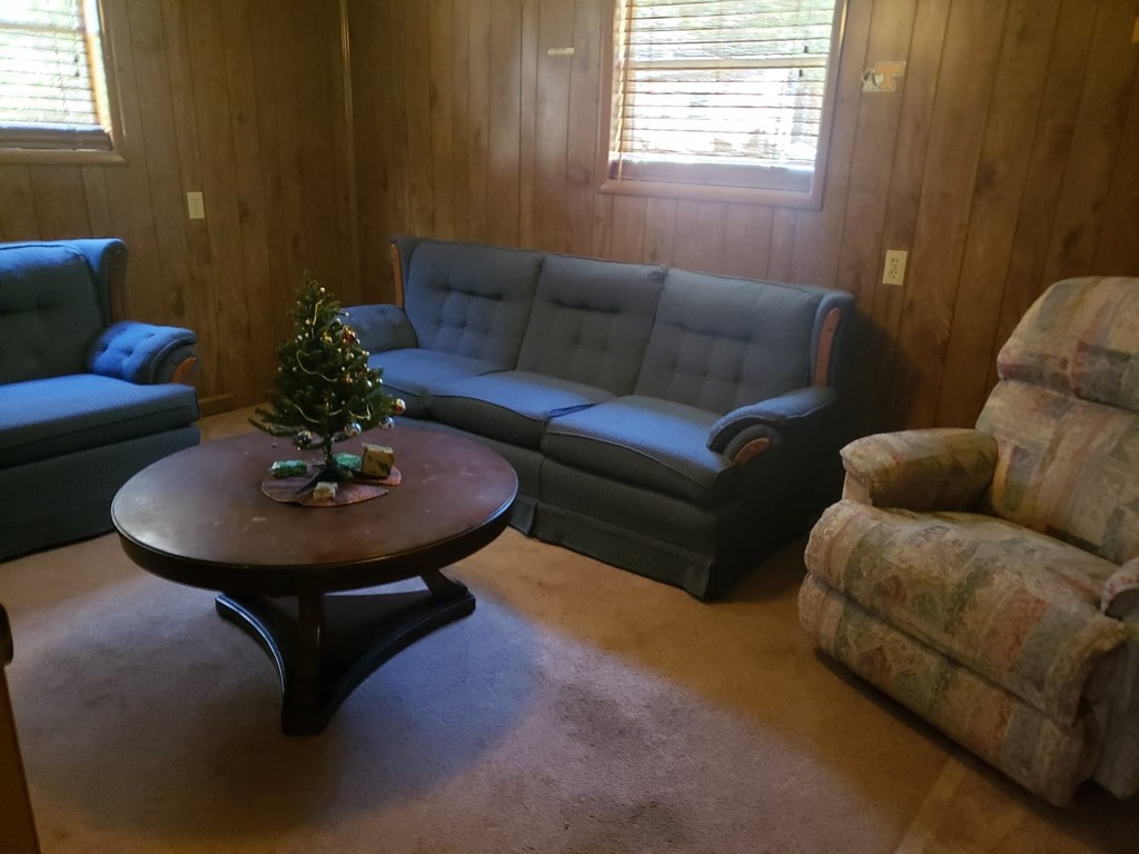 4507 River Road Ten Mile, TN 37880 - Photo 44 of 51 Gallery Image 44
