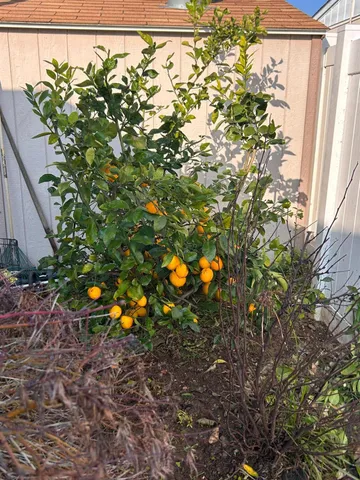 $124,000 | 8181 Folsom Boulevard, Unit 246, Sacramento, CA 95826