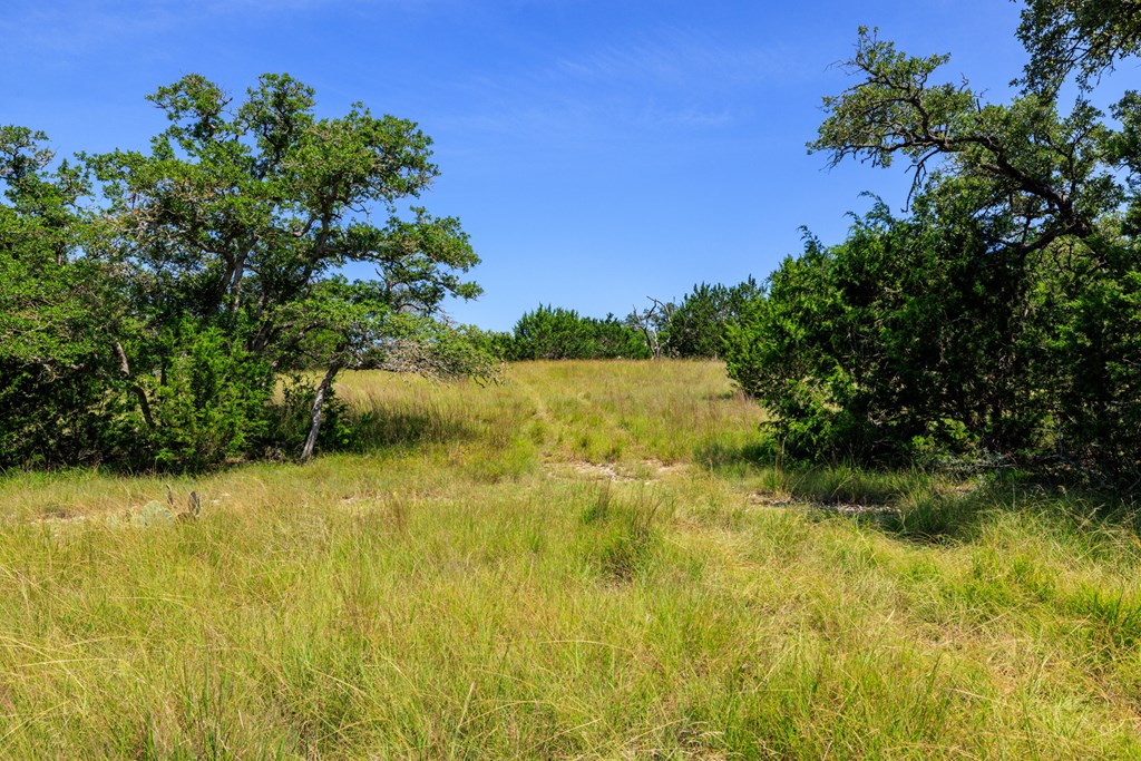 0 Bridle Path Way Fredericksburg, TX 78624 - Photo 11 of 21 a view of a garden