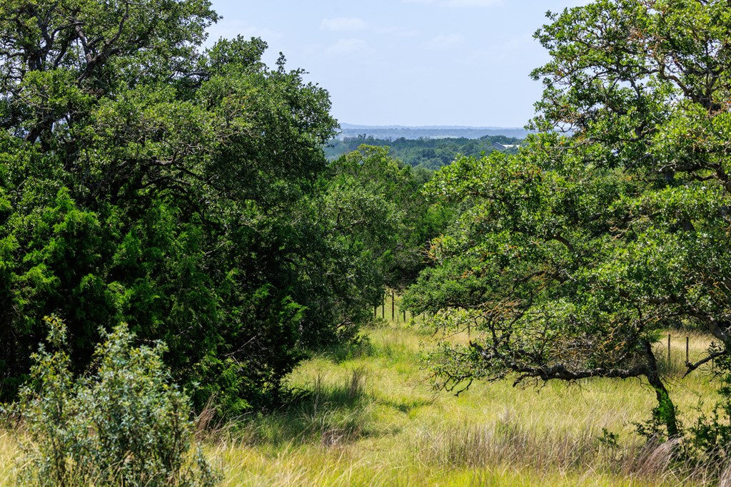 0 Bridle Path Way Fredericksburg, TX 78624 - Photo 12 of 21 a view of a lake with a building in the background