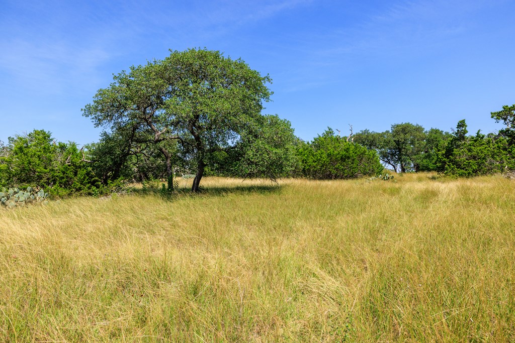0 Bridle Path Way Fredericksburg, TX 78624 - Photo 13 of 21 a view of a lake view