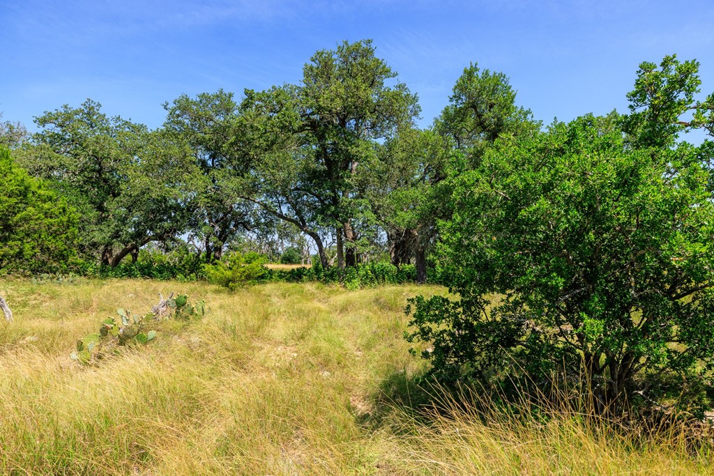 0 Bridle Path Way Fredericksburg, TX 78624 - Photo 14 of 21 a view of yard with green space
