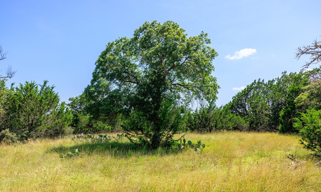 0 Bridle Path Way Fredericksburg, TX 78624 - Photo 16 of 21 a view of lake background with house