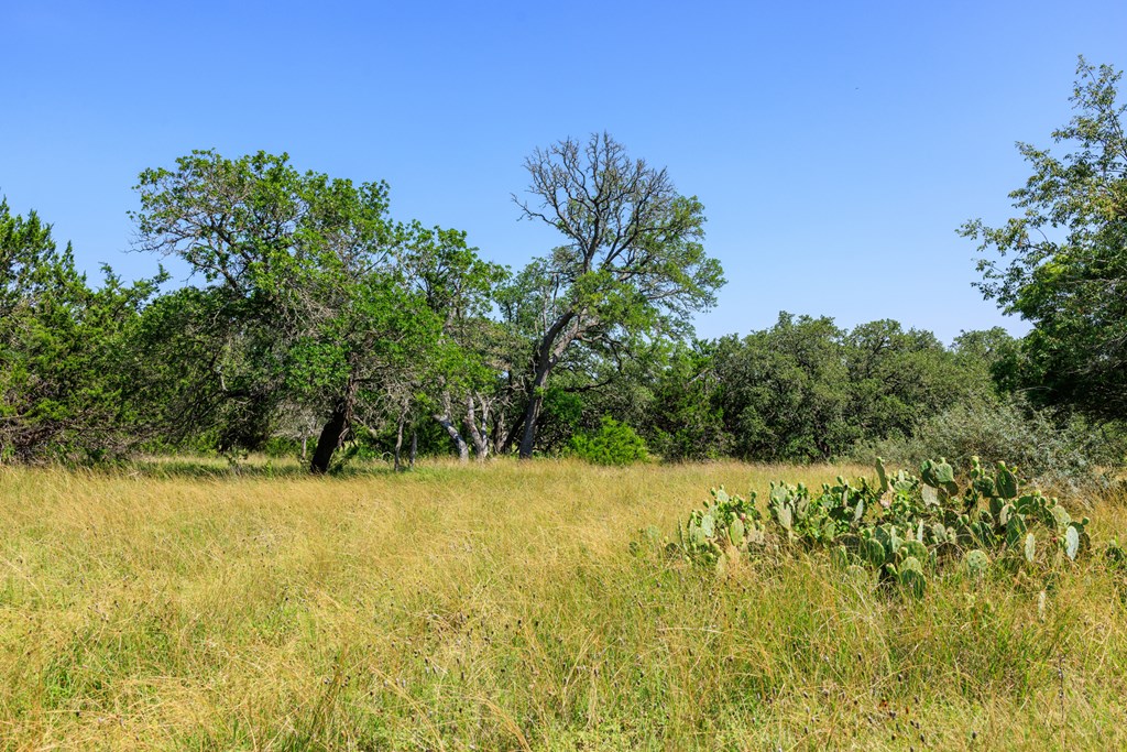 0 Bridle Path Way Fredericksburg, TX 78624 - Photo 17 of 21 a view of yard with green space
