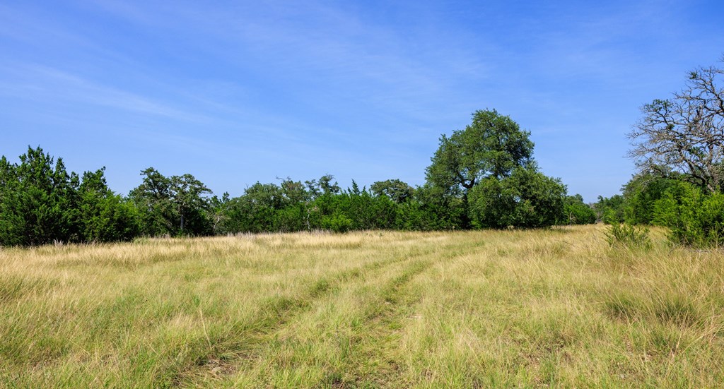 0 Bridle Path Way Fredericksburg, TX 78624 - Photo 19 of 21 a view of a yard with a tree