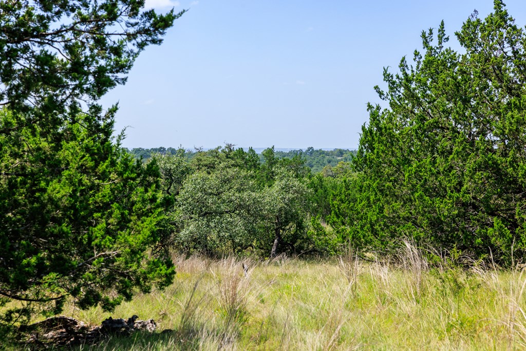 0 Bridle Path Way Fredericksburg, TX 78624 - Photo 2 of 21 a view of a garden