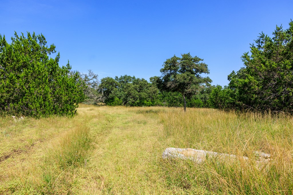 0 Bridle Path Way Fredericksburg, TX 78624 - Photo 21 of 21 a view of yard with swimming pool and trees in the background