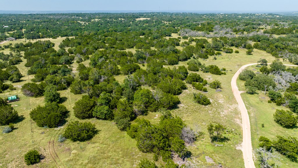 0 Bridle Path Way Fredericksburg, TX 78624 - Photo 3 of 21 a view of a forest with a street