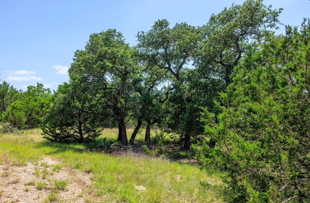 0 Bridle Path Way Fredericksburg, TX 78624 - Photo 6 of 21 a view of backyard with green space
