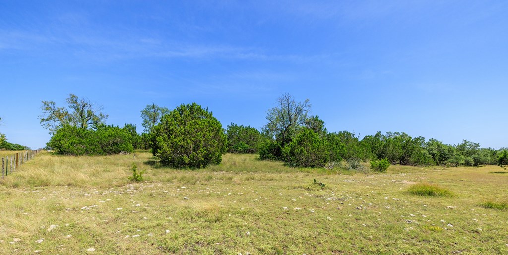 0 Bridle Path Way Fredericksburg, TX 78624 - Photo 7 of 21 a view of a yard with a tree
