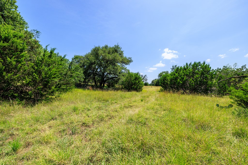 0 Bridle Path Way Fredericksburg, TX 78624 - Photo 9 of 21 a view of a garden