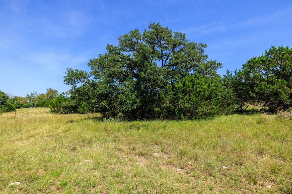 0 Bridle Path Way Fredericksburg, TX 78624 - Photo 10 of 21 a view of an ocean view