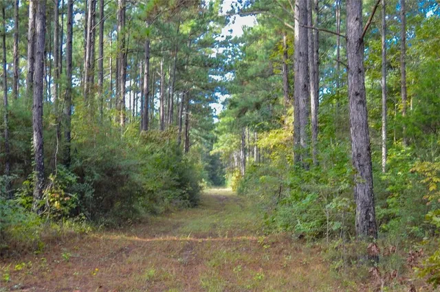 $3,255,000 | 0 Fm 223, Shepherd, TX 77371