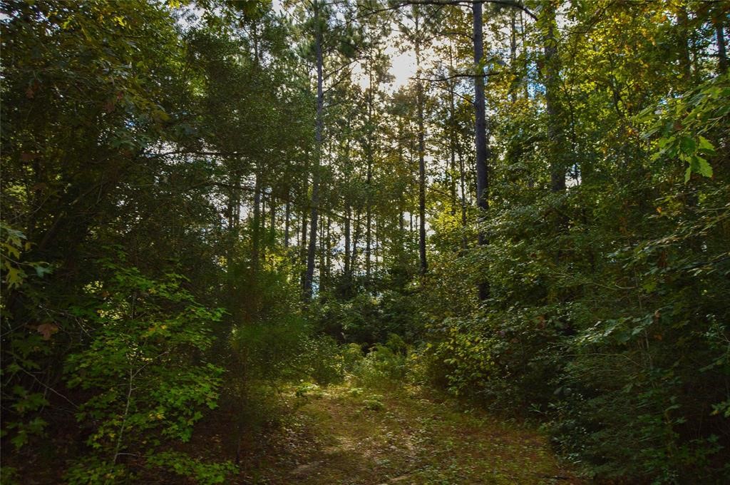 0 Fm 223 Shepherd, TX 77371 - Photo 12 of 26