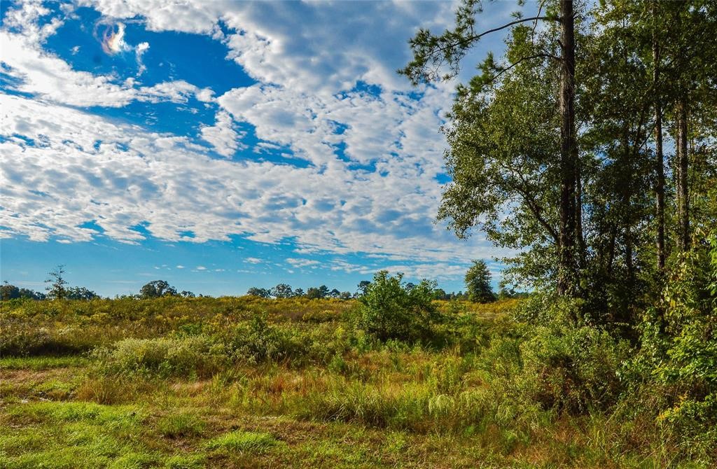 0 Fm 223 Shepherd, TX 77371 - Photo 13 of 26