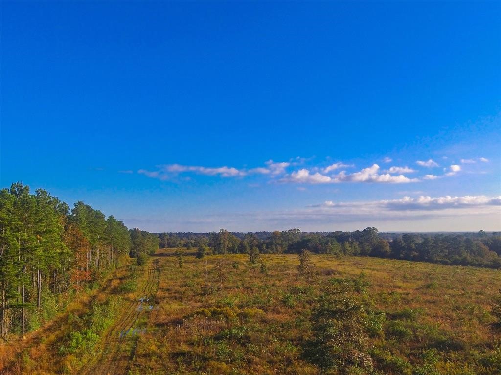 0 Fm 223 Shepherd, TX 77371 - Photo 14 of 26