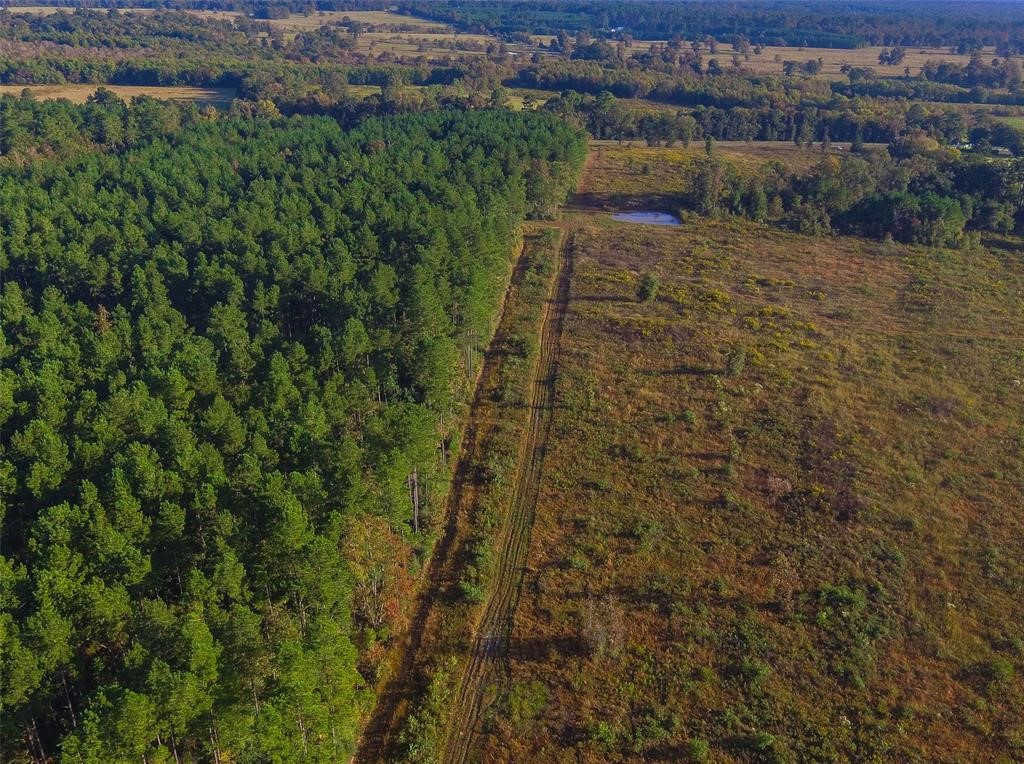 0 Fm 223 Shepherd, TX 77371 - Photo 16 of 26