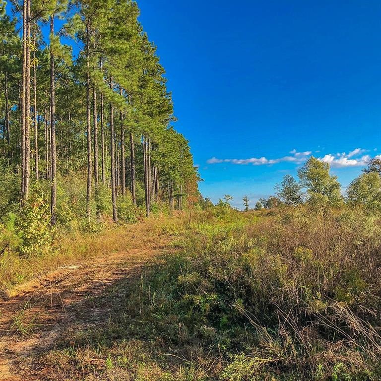 0 Fm 223 Shepherd, TX 77371 - Photo 17 of 26