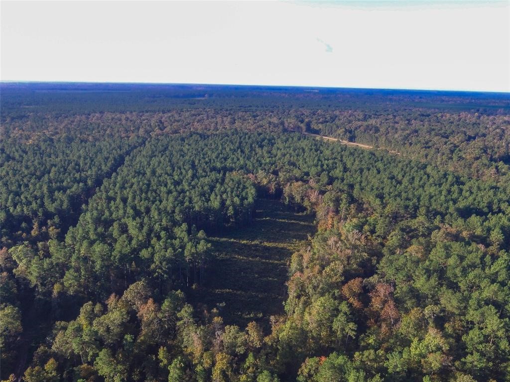 0 Fm 223 Shepherd, TX 77371 - Photo 18 of 26