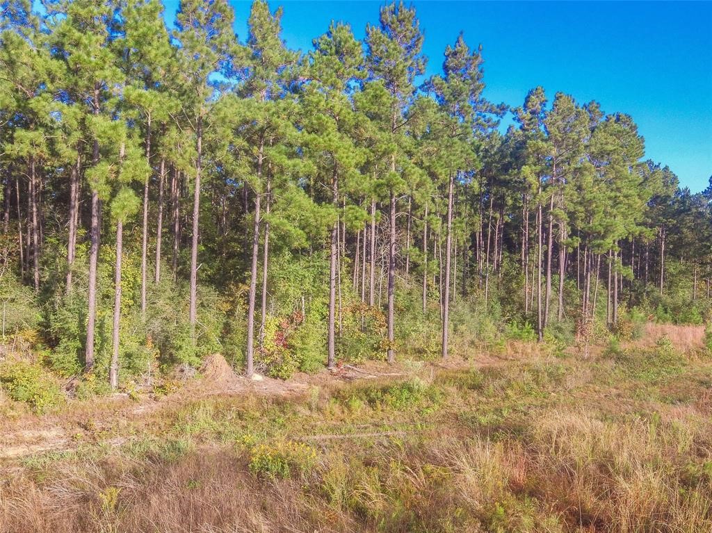 0 Fm 223 Shepherd, TX 77371 - Photo 20 of 26