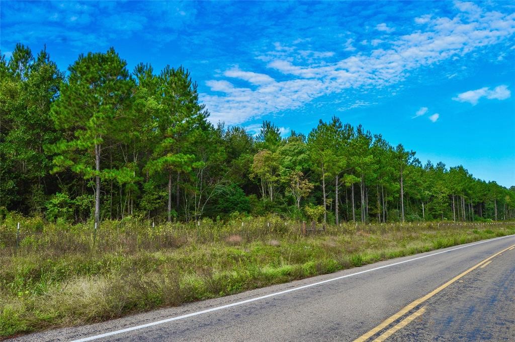 0 Fm 223 Shepherd, TX 77371 - Photo 2 of 26