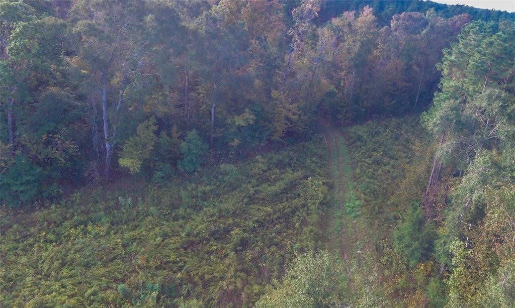 0 Fm 223 Shepherd, TX 77371 - Photo 21 of 26