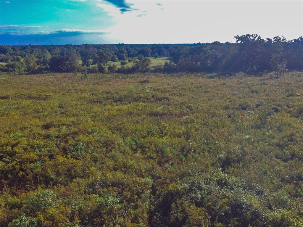 0 Fm 223 Shepherd, TX 77371 - Photo 23 of 26