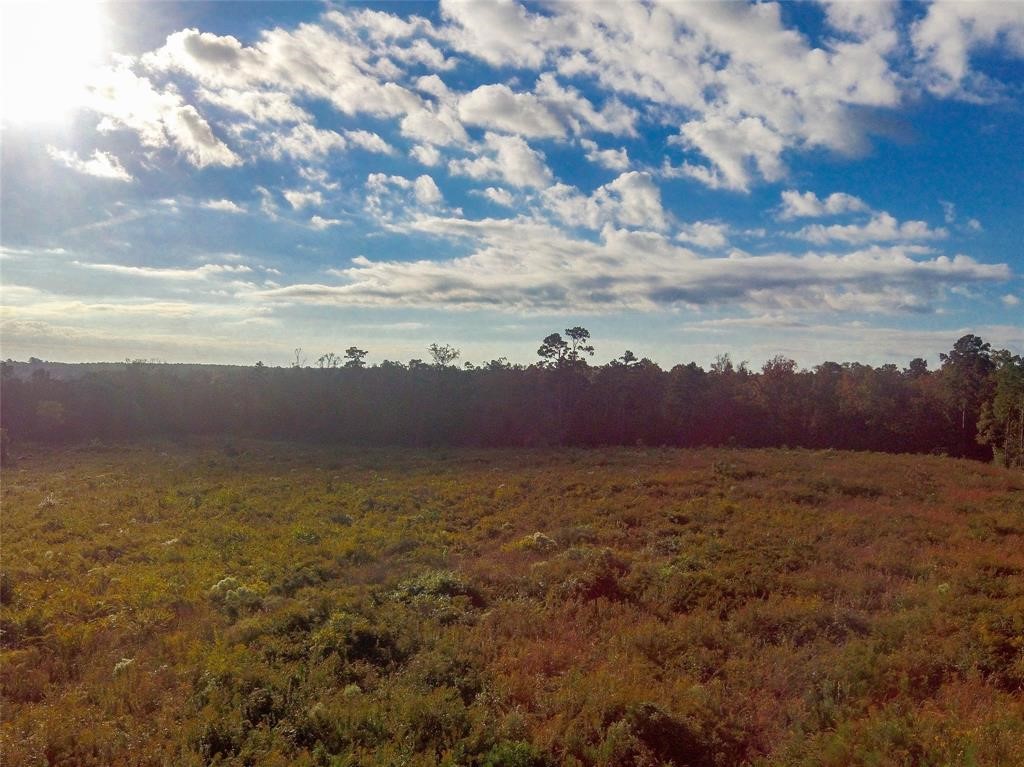 0 Fm 223 Shepherd, TX 77371 - Photo 24 of 26