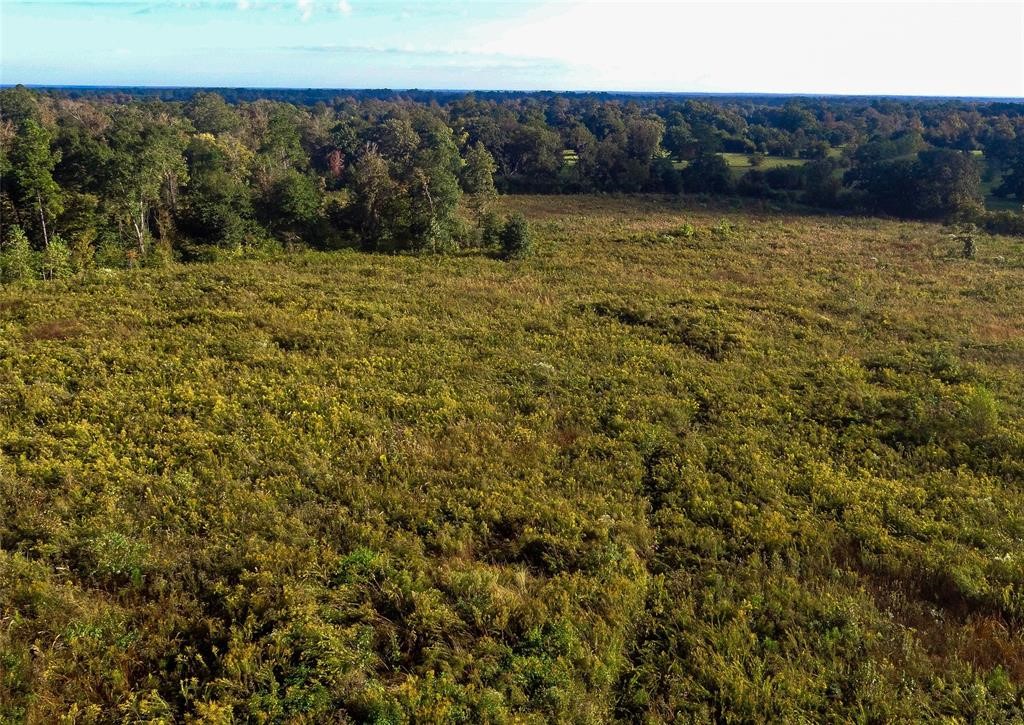 0 Fm 223 Shepherd, TX 77371 - Photo 25 of 26