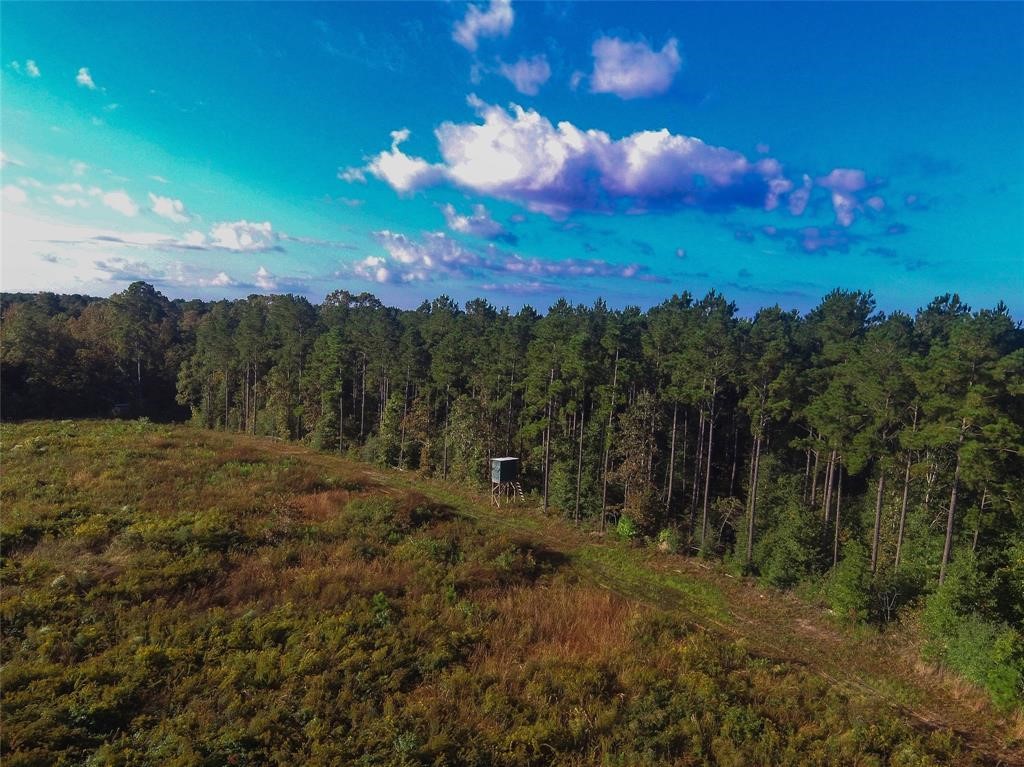 0 Fm 223 Shepherd, TX 77371 - Photo 26 of 26