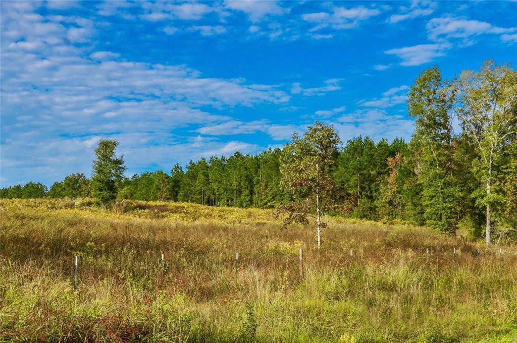 0 Fm 223 Shepherd, TX 77371 - Photo 3 of 26