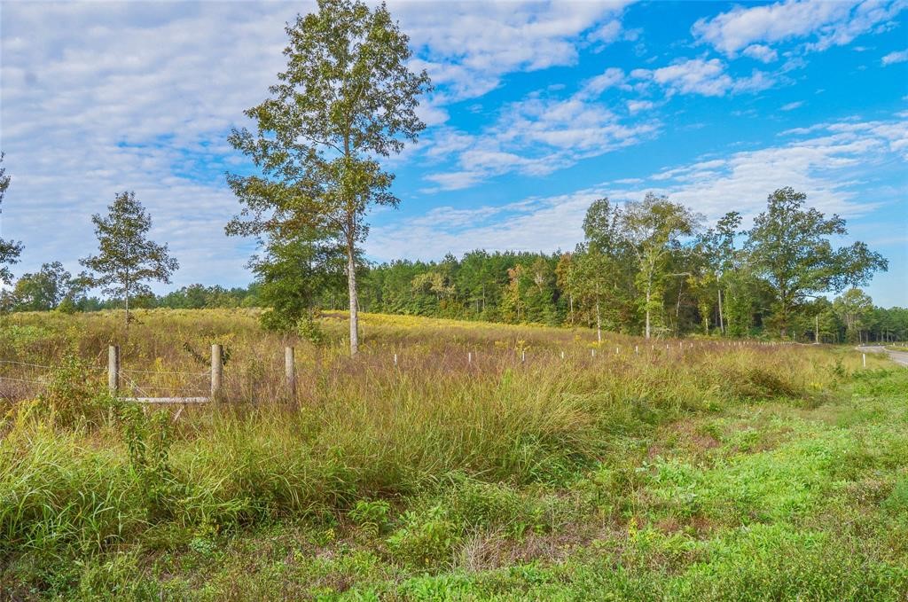 0 Fm 223 Shepherd, TX 77371 - Photo 4 of 26