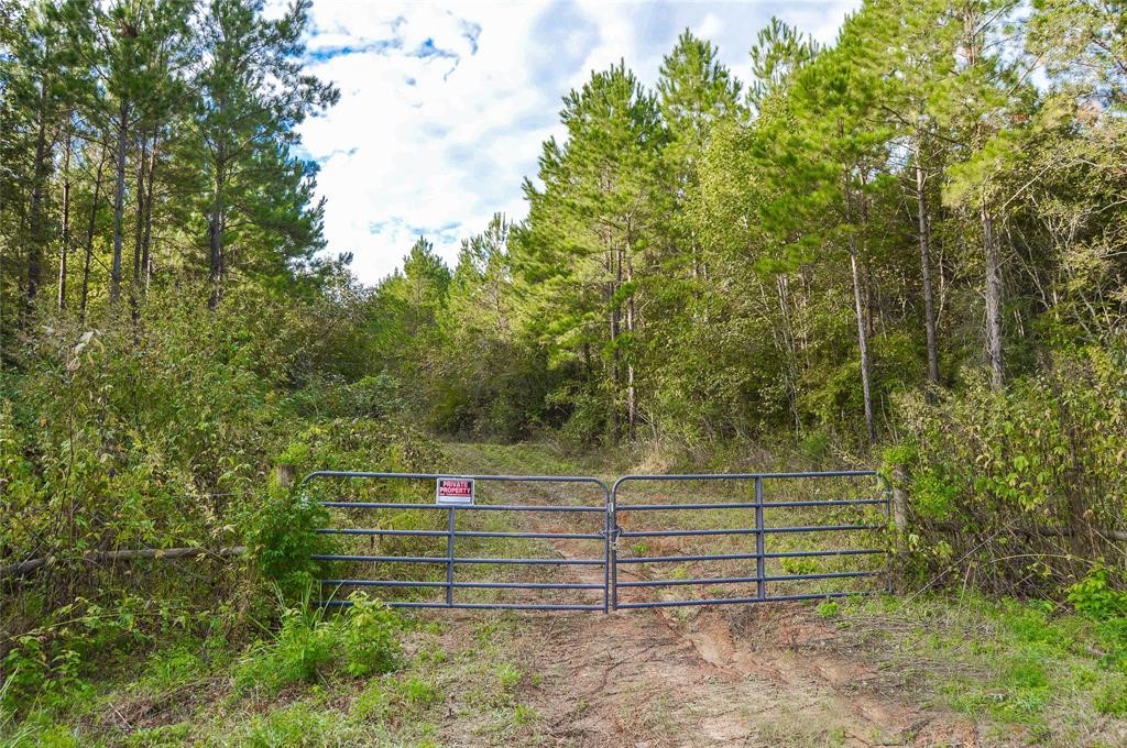 0 Fm 223 Shepherd, TX 77371 - Photo 8 of 26