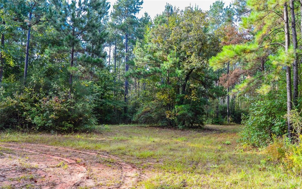 0 Fm 223 Shepherd, TX 77371 - Photo 10 of 26