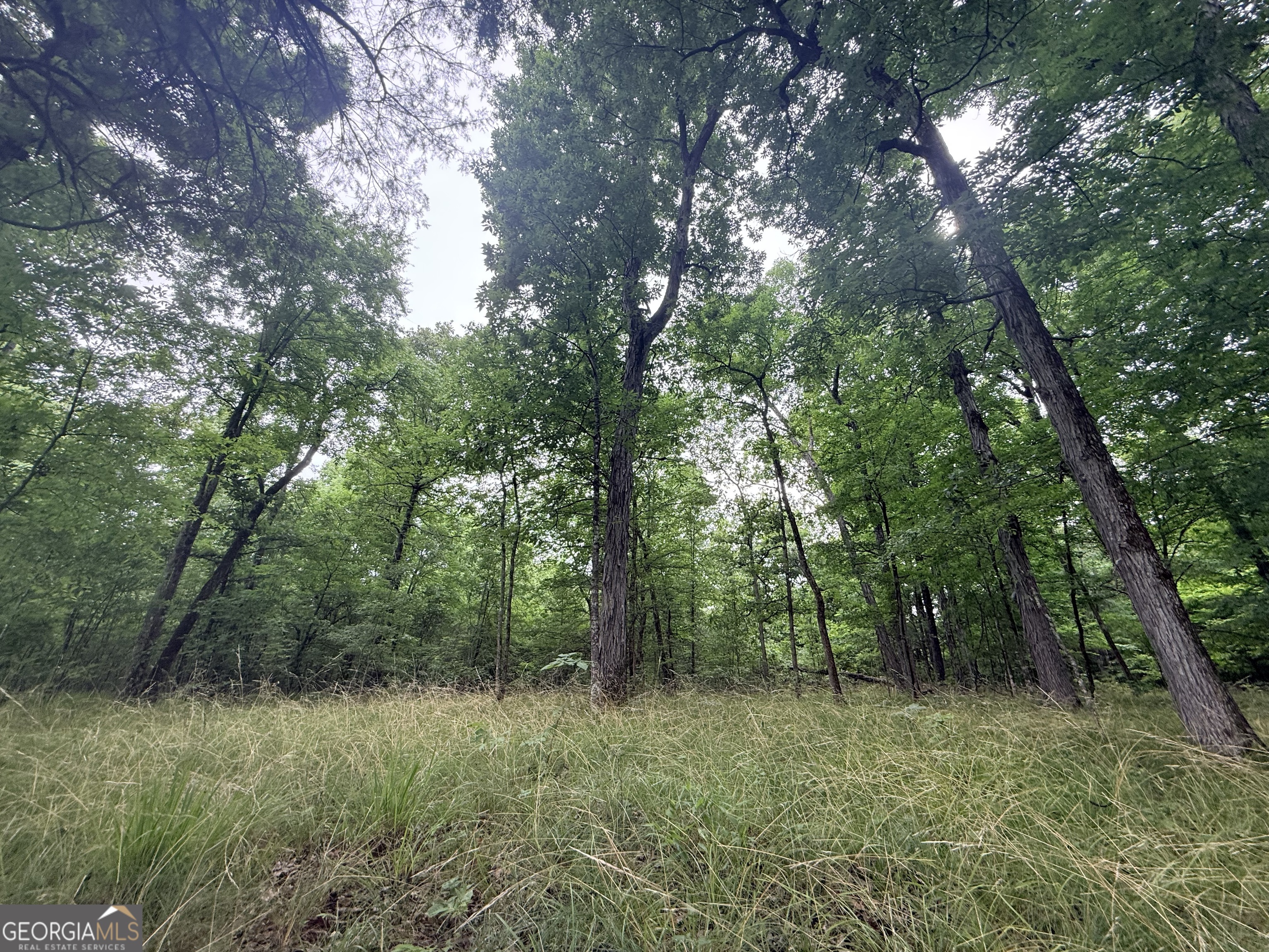 1 Bethesda Church Road Lexington, GA 30648 - Photo 2 of 78