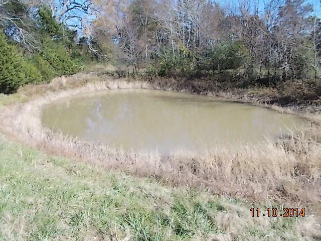 548 Rome Road Riddleton, TN 37151 - Photo 16 of 20 a view of lake with green space