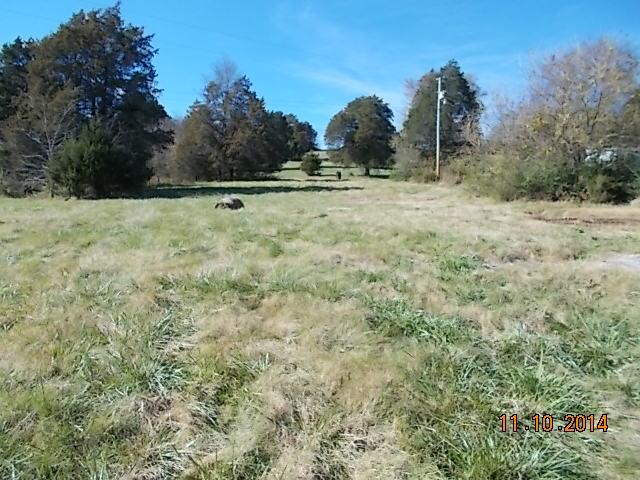 548 Rome Road Riddleton, TN 37151 - Photo 4 of 20 a view of outdoor space with trees