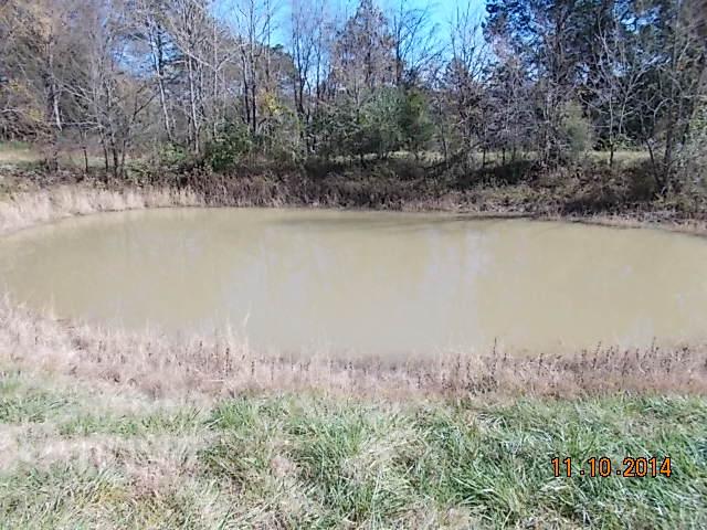 548 Rome Road Riddleton, TN 37151 - Photo 5 of 20 a view of a lake with a yard and large trees