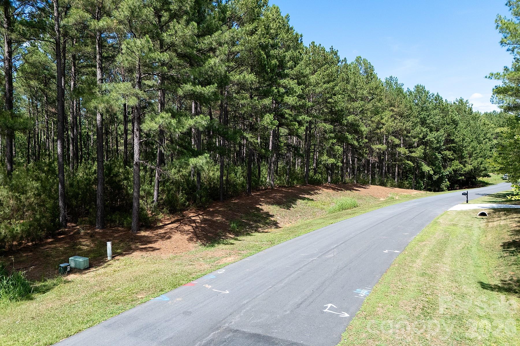168 PLANTATION Way Mount Gilead, NC 27306 - Photo 8 of 14