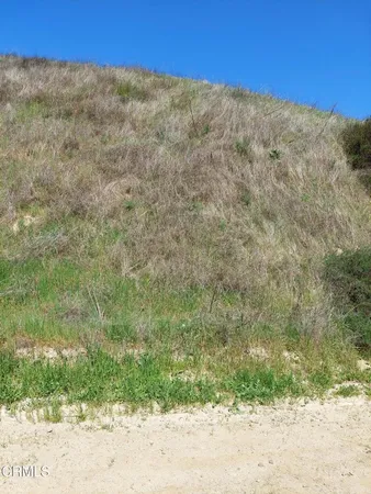 a view of a dry yard with mountains in the background