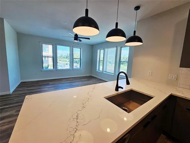 a kitchen with a sink a window and a potted plant