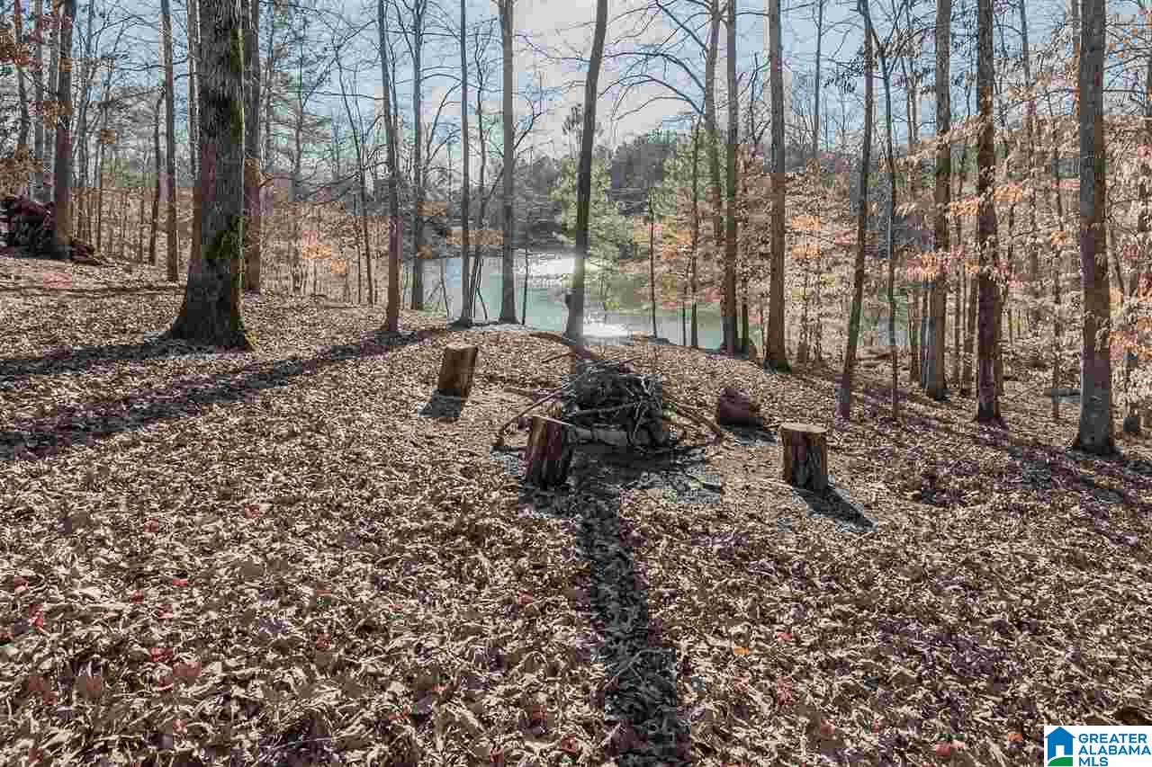 117 Fallow Circle Chelsea, AL 35043 - Photo 38 of 47
