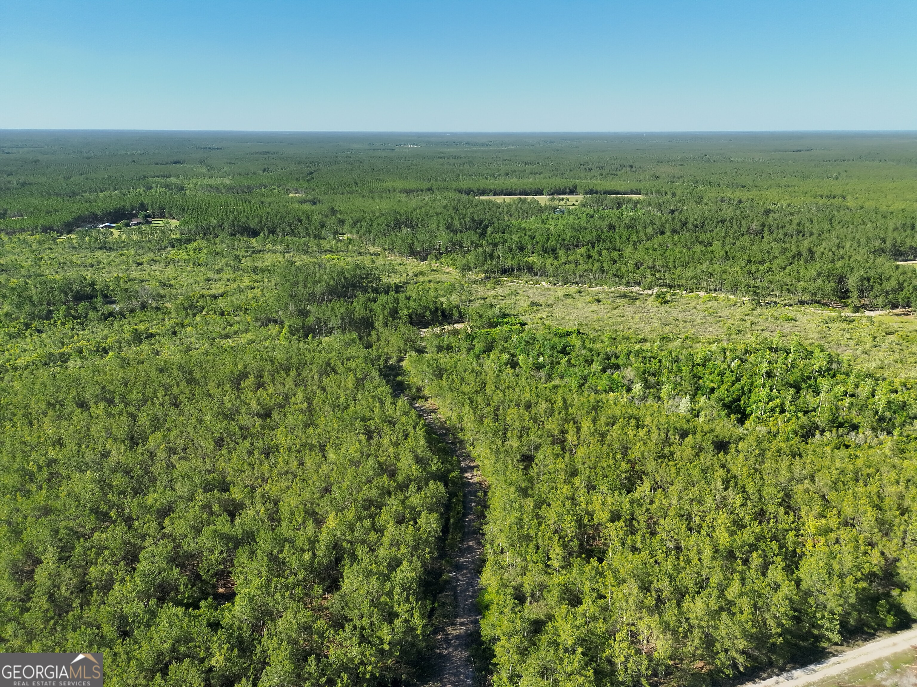 23.68-acres Quick Draw Road Millwood, GA 31552 - Photo 5 of 11